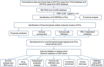 A Novel Ferroptosis-Based Molecular Signature Associated with Biochemical Recurrence-Free Survival and Tumor Immune Microenvironment of Prostate Cancer